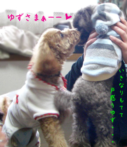 ゆずさま