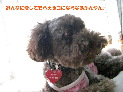 愛してもらえる