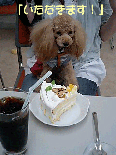 いただきます