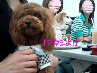 アタシ