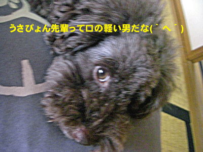 軽い