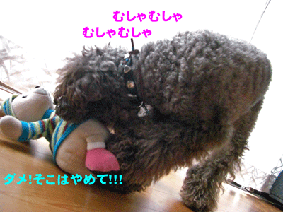そこはやめて