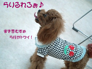 らりるれろ