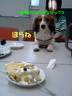 ほらね