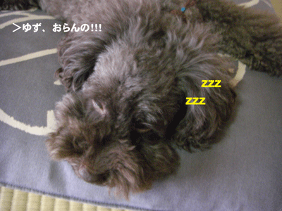 ZZZ