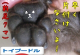ポチしてね♪