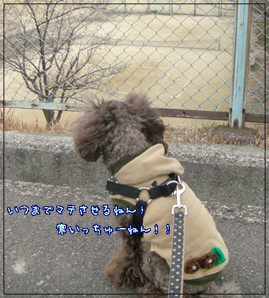 ゆず