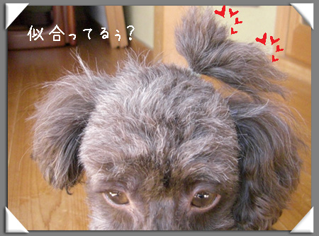 いけてるって!