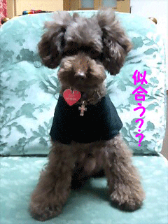 似合う?