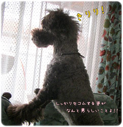 �椺