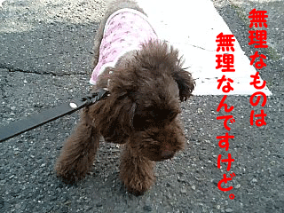 抵抗