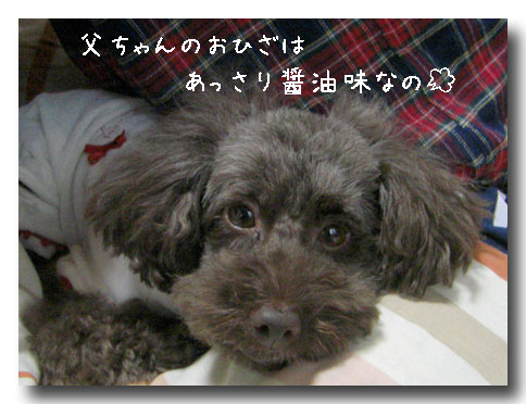 父ちゃん