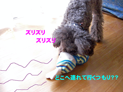ズリズリ