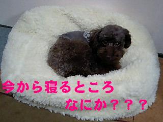�ʤˤ���