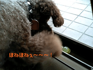 ほねほね