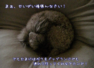 �椺
