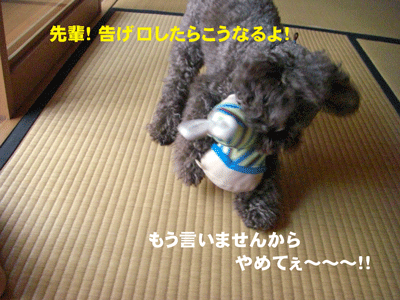 やめてぇ