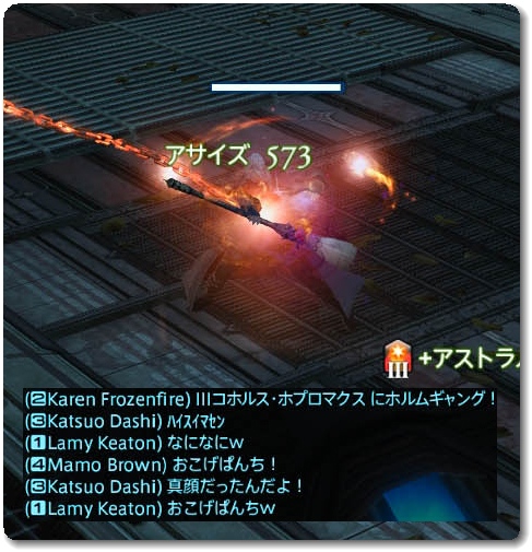 WS027381