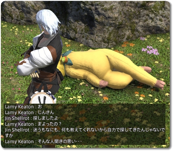 WS026491