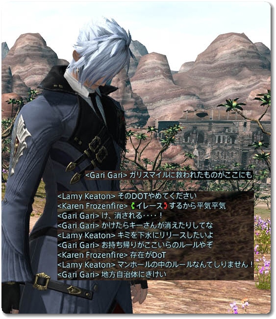 WS027748