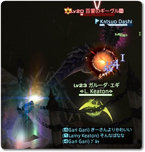 WS028533