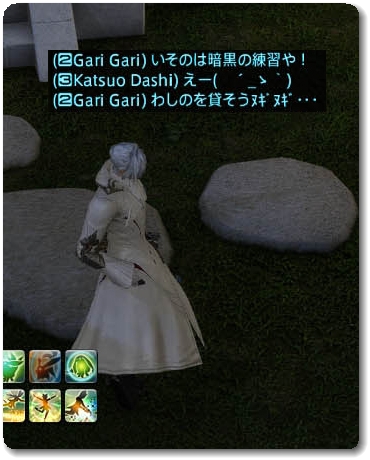 WS028527