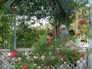 P1030093