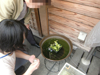 BlogPaint