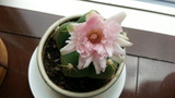 48d9f367.jpg