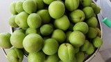 8a027b04.jpg