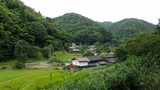 b0492d64.jpg