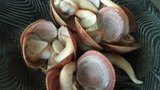 d299605f.jpg