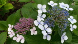 e51c697f.jpg