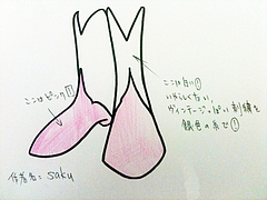 応募サンプルイラスト