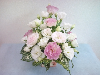 875a81f4.jpg
