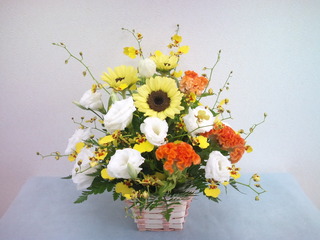 9e91e361.jpg
