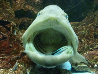 e5bb5625.jpg