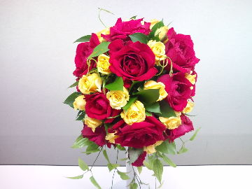 1dc075f5.jpg