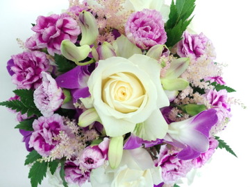 24a945f2.jpg
