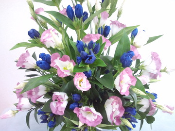 3df8880f.jpg