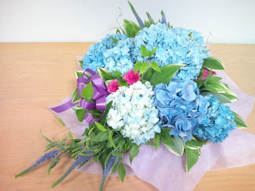 46d23550.jpg