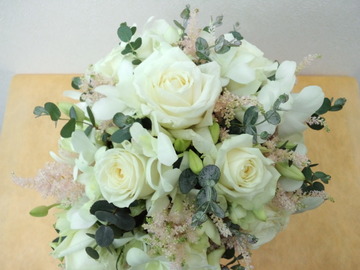 71cd0049.jpg