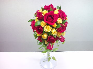 8648d161.jpg