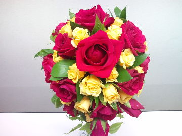 961d65d6.jpg