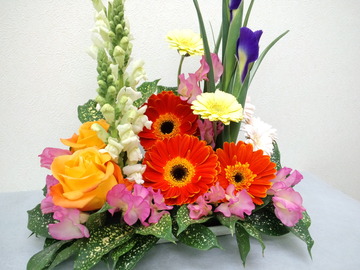 97a30190.jpg
