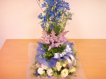 e6209e27.jpg