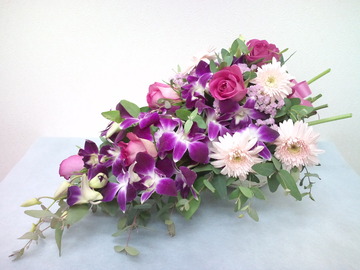 e86086f9.jpg