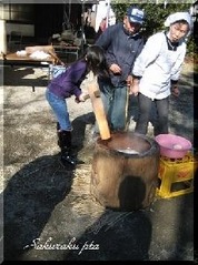 k1177_jpg_300px