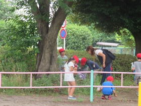 神田小20170627八王子公園探検3