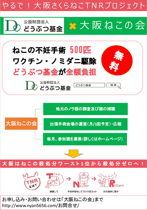 大阪ねこの会チラシ画像
